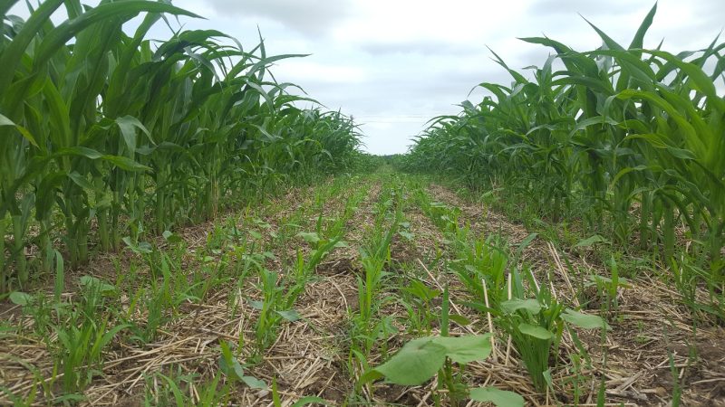 20190630_171210_resized